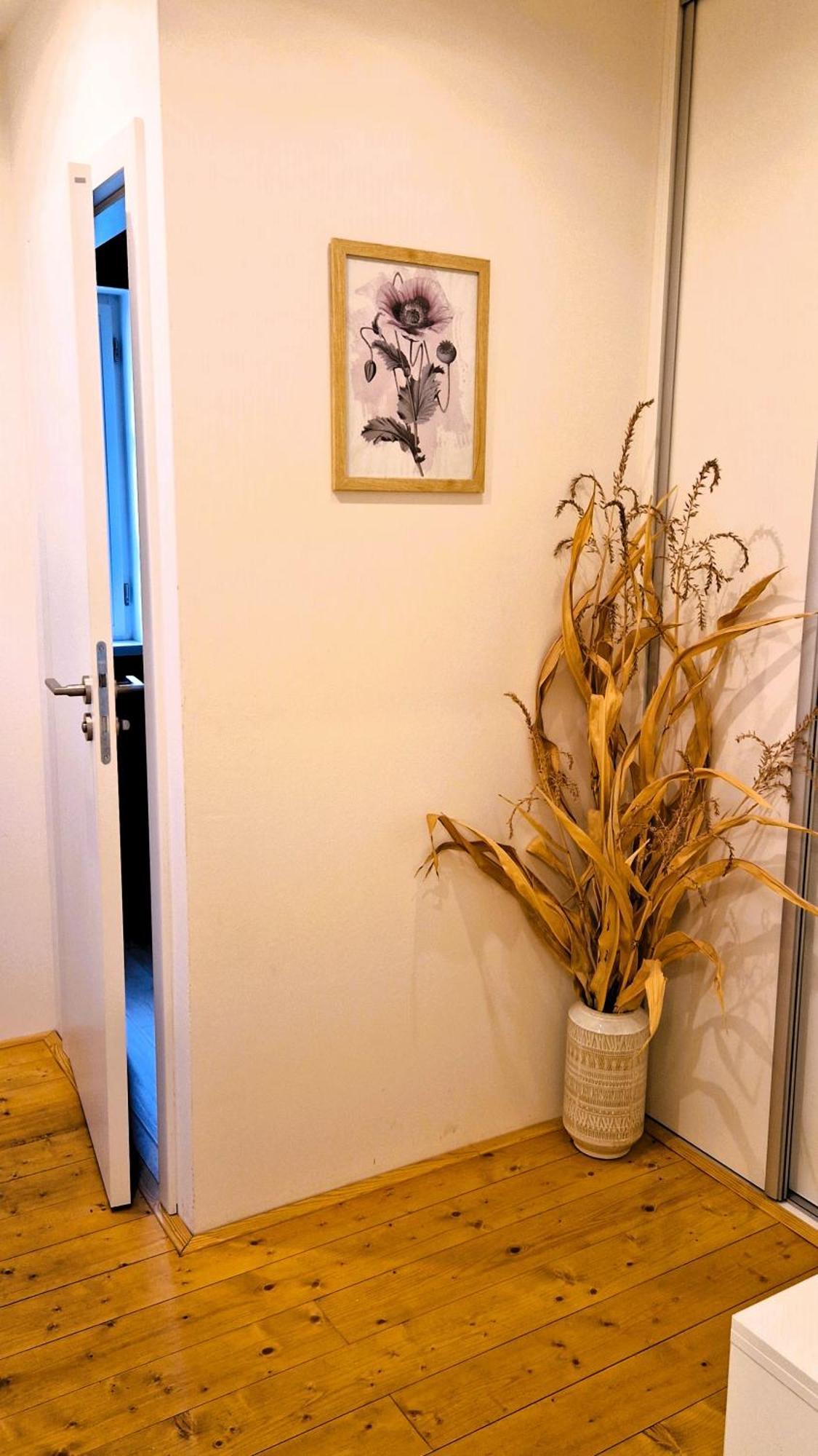 Apartmany Vcelin Brniste Exterior foto